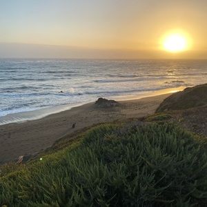 Meet your Posher, Aurora